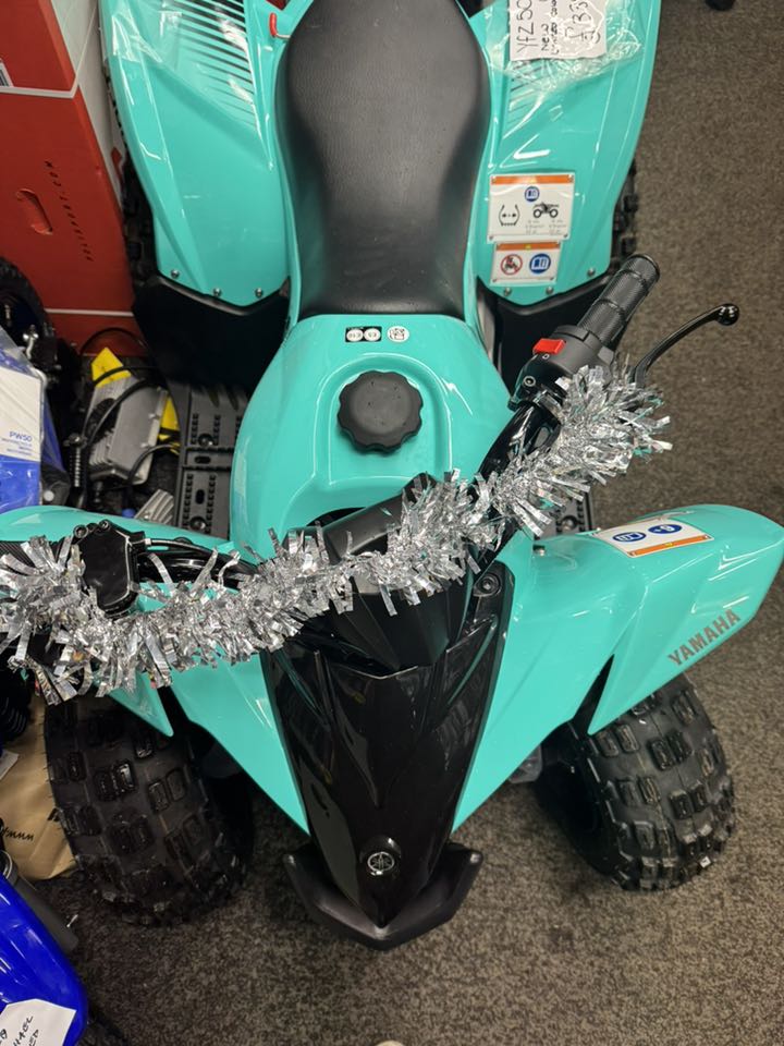 yfm 50 quad new limited edition